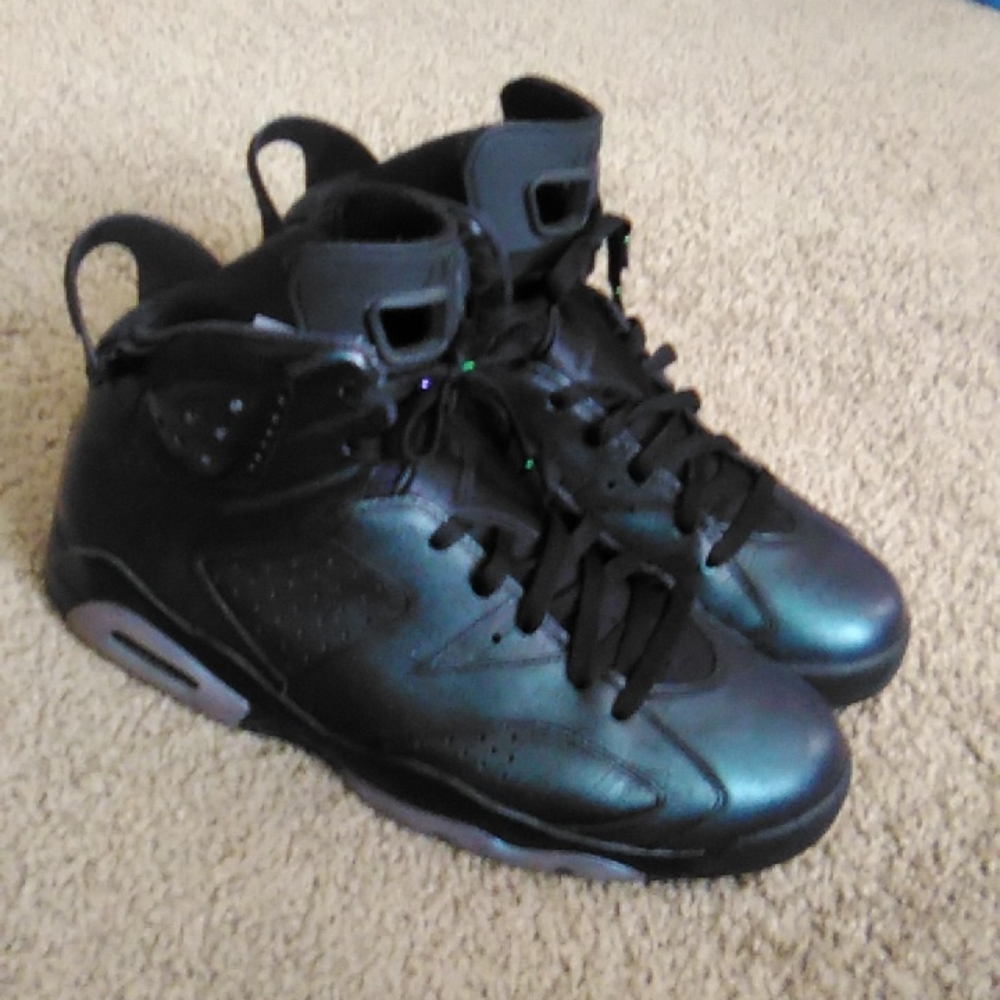 Chameleon Jordans